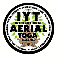 iyt-aerial-logo